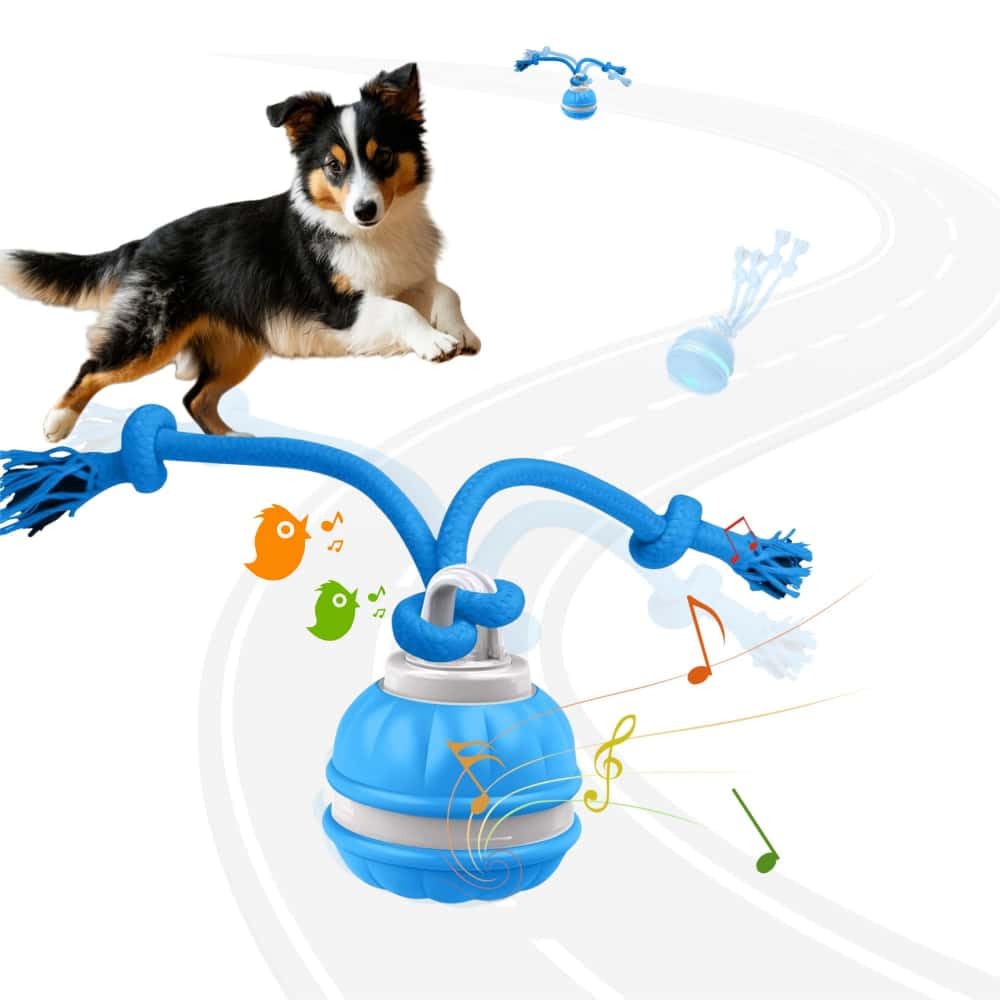 2025 New Interactive Dog Toys Dog Balls,Durable Motion Activated Automatic Rolling Ball Toys for/Small/Medium Dogs（Blue